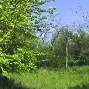 Brunette in Stockings Fucked Hard on Grass