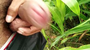 Outdoor Handjob and Cumshot on Grass