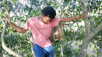 Indian Daddy and Twink Outdoor Anal under Mango Tree