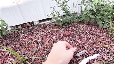 Hot Step Mom Makes You Get a J*b - Brianna Beach - MomComesFirst - Alex Adams