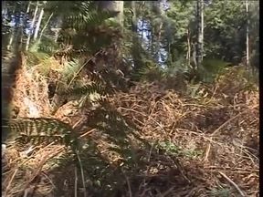 Redhead chick plays with her pussy outdoors