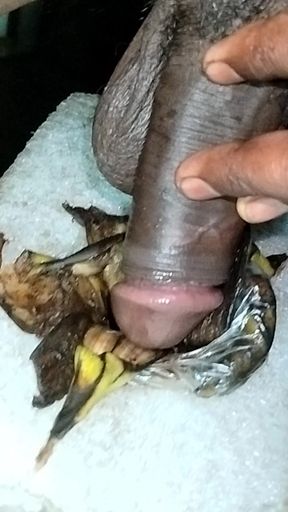 Aaj bhabhi ko puri raat chudunha 15 inch land se