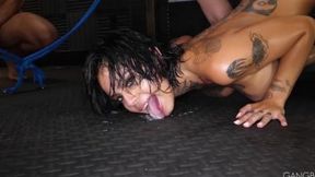 Wow that's HOT licking cum off the floor (Chris Cock&#x1F32D;, Randy Denmark, Eddie Jaye, Scotty P, Genevieve Sinn, Kinsley Anne)
