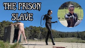 THE PRISON SLAVE