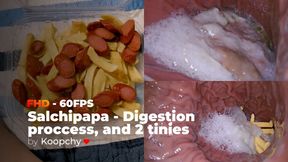[FHD 60FPS] - Salchipapa [ Eating + Swallowing + Stomach view + Digestion proccess (each 1 hour) ], and 2 tinies - ENDOSCOPE VORE