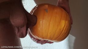 Fuck N Cum in Pumpkin Jack off in Jack O Lantern