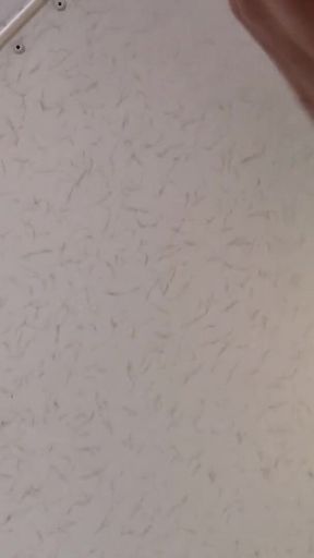 GILF MILF Hard Anal Masturbation