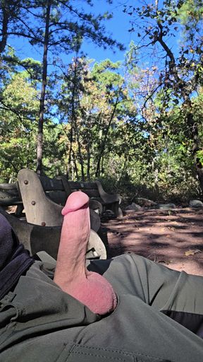 Nice rock hard cock and big balls