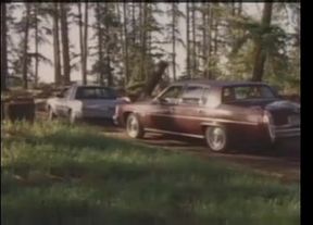 The Pleasure hunt 1984