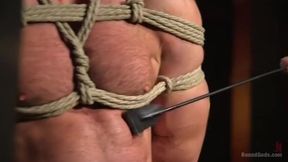 Takes Extreme Torment - Alex Mecum