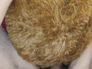 Very horny boy fucks his teddy bear up his furry ass while moaning