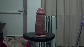 big dildo in my ass