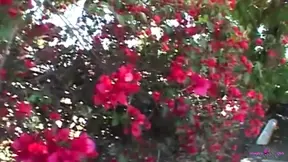 This Redhead Babe Came for a Blowjob but She Got Totally Smashed by a Cock