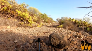 Public nudity. Horny teen walks naked in the mountains masturbation / pee