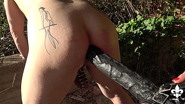 Pegged in the sun