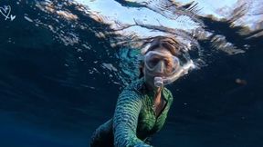 Carissa in Underwater topless in Aliigator dive skin in the spring part one