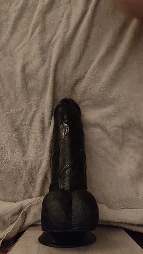 Black behemoth doggy
