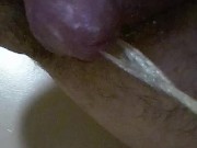 The Old Piss and Burn