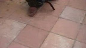 un pote rebeu hetero me baise bareback en exhibapres avoir fait boire des ...