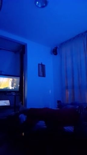 جارتي المتزوجة تزورني مستغلة حقيقة أن زوجها ذهب للعب كرة القدم.