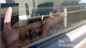 Real Hairy Mature Neighbor Caught Waking Up With A Big Boner!