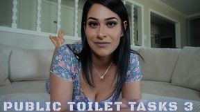 Public Toilet Tasks 3