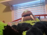 Kitty wants more