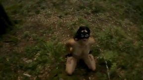 The trash knows they’re nothing but degraded toys for male