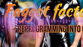 Faggot factory - reprogramming into gay 1 10 min (MaleDom)