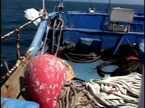 BBW with colored hair gets drilled doggy style on a boat