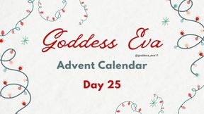 Advent Calendar - Day 25