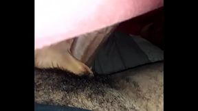 Mi guebo necesita una mamada