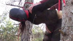 Bound and gagged babe gets an outdoor fuck