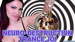NEURO-DESTRUCTION TRANCE JOI