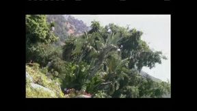 Nasty Sexual Dreamers