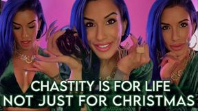 Chastity is For Life, Not Just For Christmas