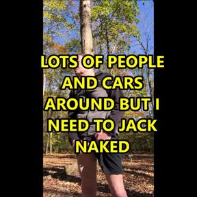 Public Jack Off Park November 2020 picnic nuts