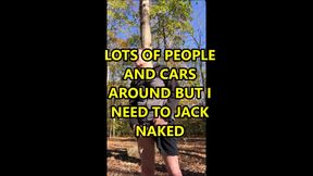 Public Jack Off Park November 2020 picnic nuts