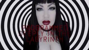 Deeply Programmed in the Labyrinth HD