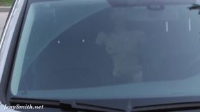 Until The Evening Comes With Jeny Smith