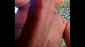 V&iacute_deo de verifica&ccedil_&atilde_o