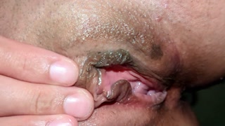 Of my Tea Cake of a "pussy" experiencing of a pet.