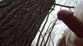 Santa Claus is cumming in the woods