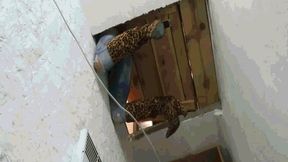 Someone decided to play a joke, or play with me? AVI (1920x1080) FHD