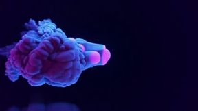 meu marido fez minha amiga gozar na rola dele - pamela pantera - nicoly mattos - lukas zaad