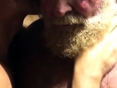 Hairy bears passionate kissing