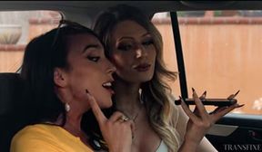 milf oasis sophia locke casey calvert lauren phillips jade venus ariel demure kasey kei penny barber avery lust