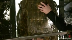 Bobbi Starr - Training Of O