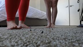 Under our Heels-mobile friendly