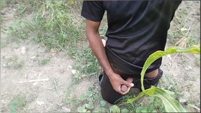 Desi Shemale Gay Boy Focking Big Back Dig Comsot